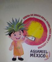 BEBIDA DE DIOSES EN LA TIERRA; AGUAMIEL MEXICO.