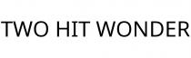 TWO HIT WONDER