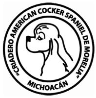 CRIADERO AMERICAN COCKER SPANIEL DE MORELIA MICHOACÁN