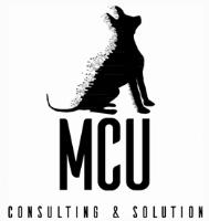 MCU CONSULTING & SOLUTION