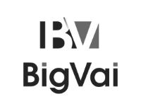 BV BIGVAI