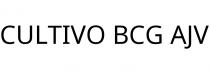 CULTIVO BCG AJV
