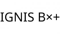 IGNIS B×+