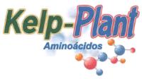 KELP-PLANT