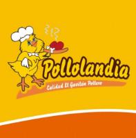 POLLOLANDIA; DENOMINACIÓN (LEYENDA Y/O SIGNO DISTINTIVO); CALIDAD EL GAVILÁN POLLERO