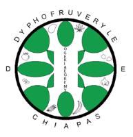 DESHIDRATADOS Y PROCESADOS DE HOJAS; FRUTAS; VERDURAS Y LEGUMBRES DE CHIAPAS OSEKI&EGREMY