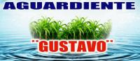 GUSTAVO