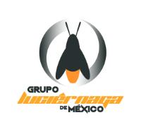 GRUPO LUCIERNAGA