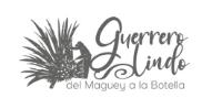 IMAGEN COMERCIAL MAGUEY Y LETRAS
