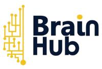 BRAIN HUB