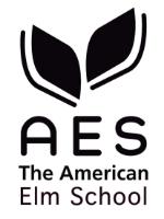 AES THE AMERICAN ELM SCHOOL