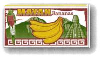 MAYAN BANANAS