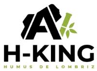 AV H KING