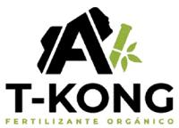 AV T KONG