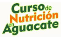 CURSO DE NUTRICION EN AGUACATE