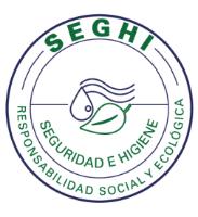SEGHI SEGURIDAD E HIGIENE RESPONSABILIDAD SOCIAL Y ECOLÓGICA