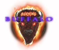 BURNING BUFFALO