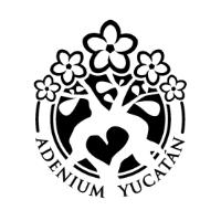 ADENIUM YUCATAN