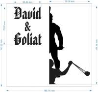DAVID & GOLIAT