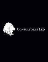 CONSULTORES LEO