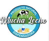 MUCHA LECHE