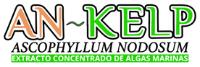 AN~KELP