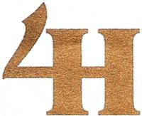 4H