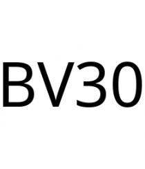 BV30