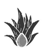 IMAGEN COMERCIAL MAGUEY