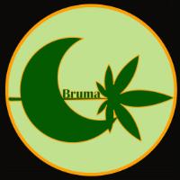 BRUMA