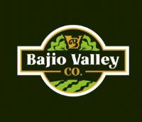 BV BAJIO VALLEY CO.