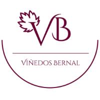 VB VIÑEDOS BERNAL