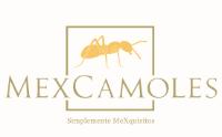 MEXCAMOLES SIMPLEMENTE MEXQUISITOS