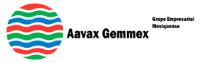 AAVAX GEMMEX GRUPO EMPRESARIAL MEXIQUENSE