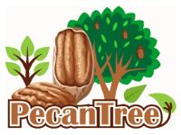 PECAN TREE