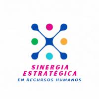 SINERGIA ESTRATÉGICA EN RECURSOS HUMANOS (SERH)