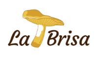 LA BRISA
