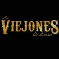 LOS VIEJONES DE LINARES