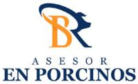BR ASESOR EN PORCINOS