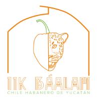 IIK BÁALAM