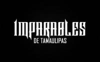 IMPARABLES DE TAMAULIPAS