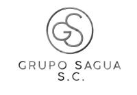 GS GRUPO SAGUA S.C.