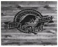 CARNICERIA EL TORO BRONCO REAL