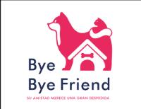 BYE BYE FRIEND SU AMISTAD MERECE UNA GRAN DESPEDIDA