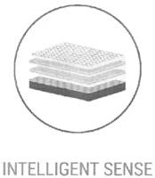 INTELLIGENT SENSE
