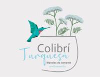 COLIBRÍ TURQUESA