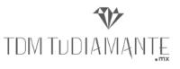 TDM TUDIAMANTE.MX