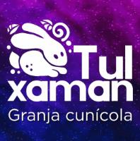 TUL XAMAN