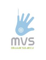 MVS CELLULAR S.A. DE C.V.