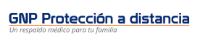 GNP PROTECCIÓN A DISTANCIA UN RESPALDO MEDICO PARA TU FAMILIA